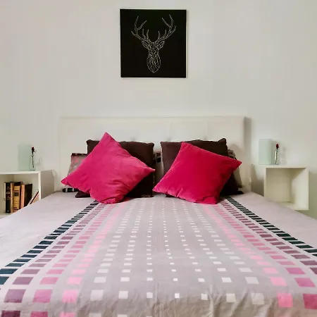 The Cool * פוארטו דה לה קרוז