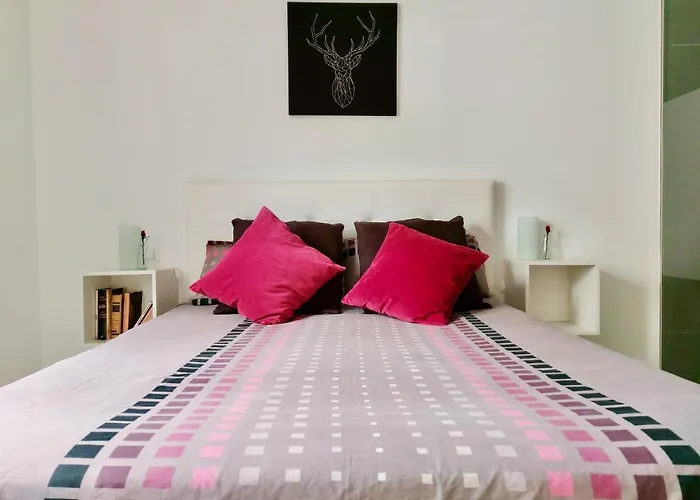 The Cool * Puerto de la Cruz (Tenerife)